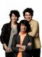 T267662-e8514.jpg