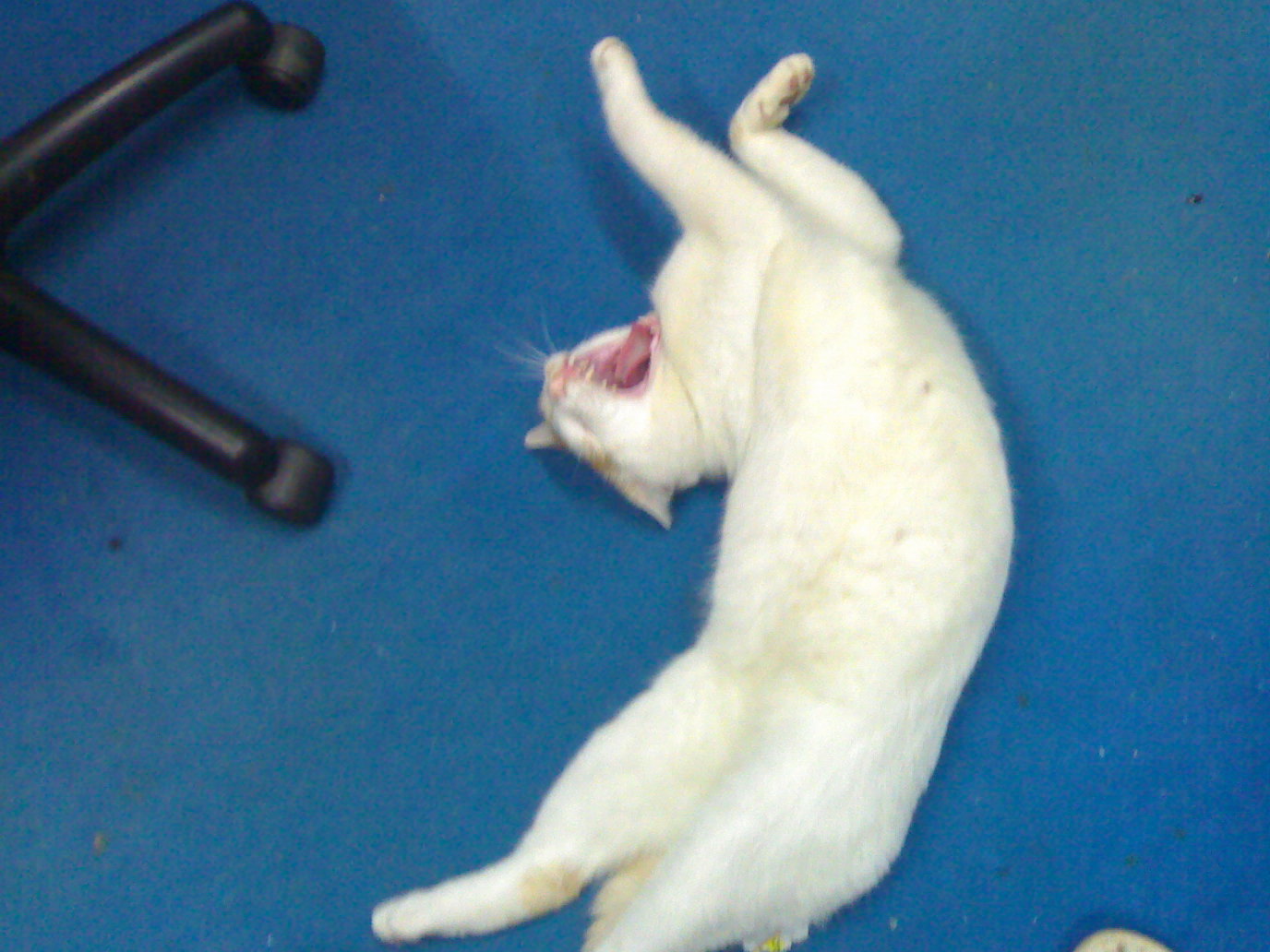211120081231.jpg