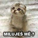 miluješ mě.jpg