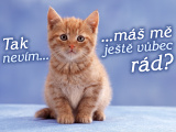 Nevim jestli me mas rad.jpg